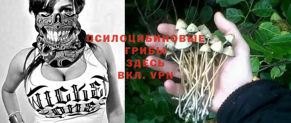 молекула духа Вяземский