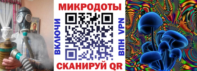 где продают наркотики  Мещовск  Псилоцибиновые грибы Cubensis 